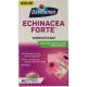 Echinacea forte