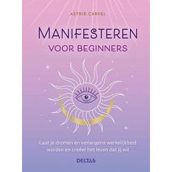 Manifesteren voor beginners