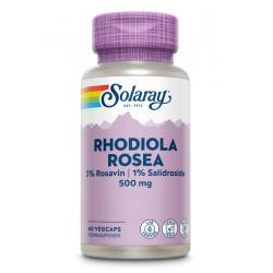 Rhodiola rosea