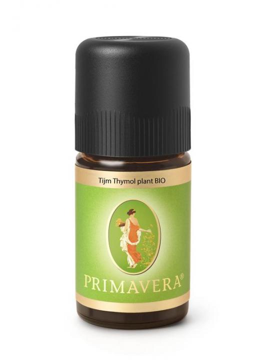 Tijm thymol plant bio