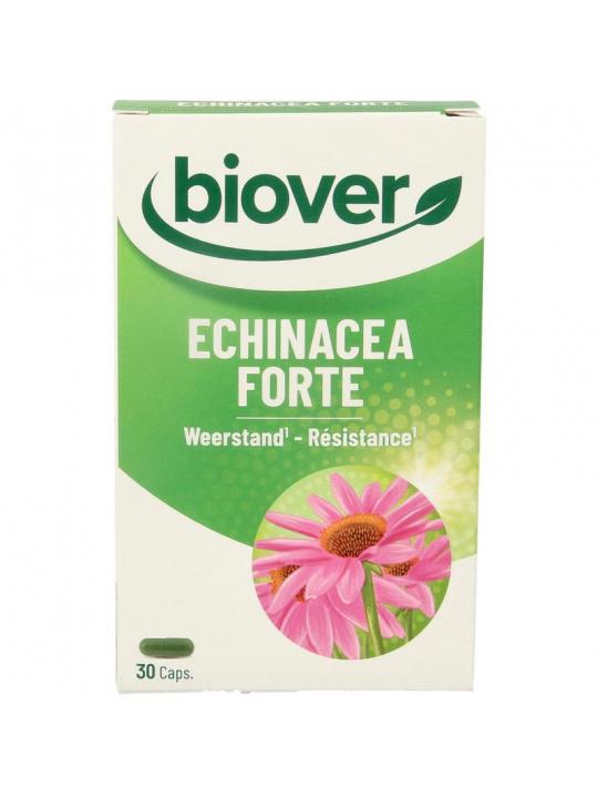 Echinacea forte