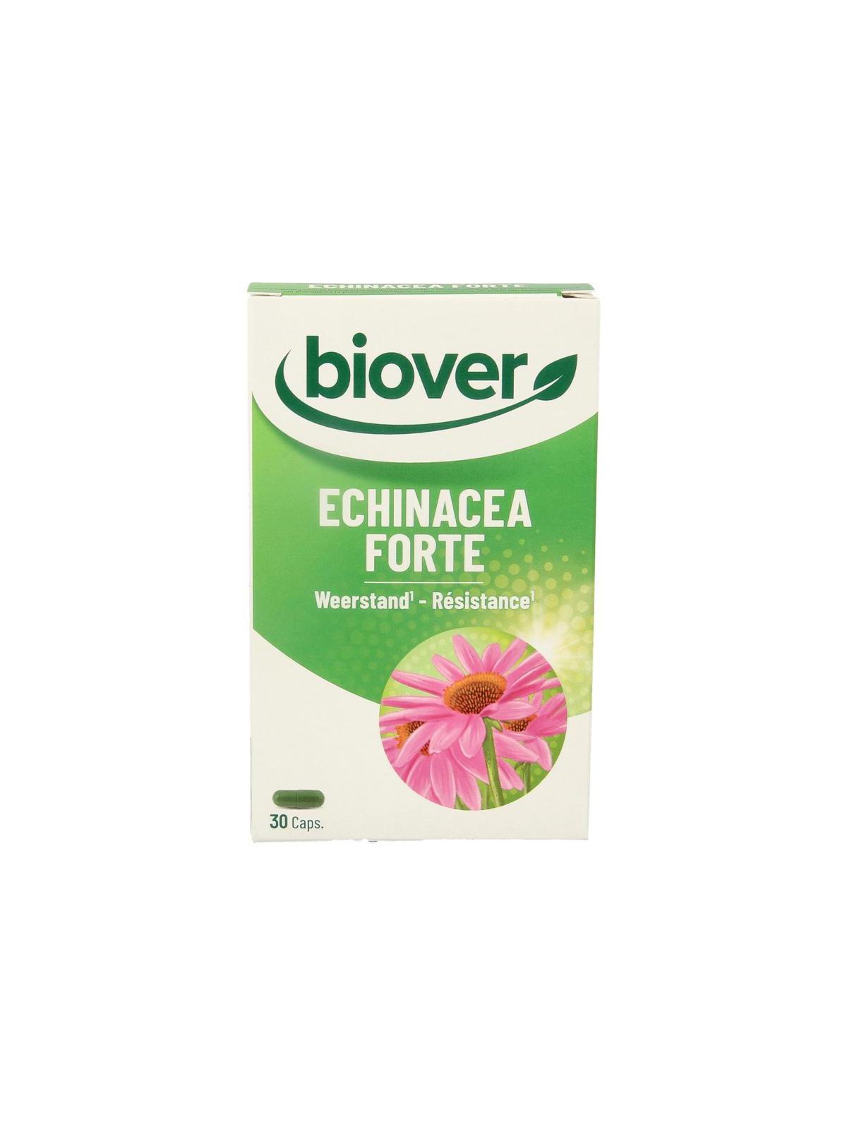 Echinacea forte