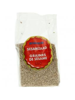 Sesamzaad bio