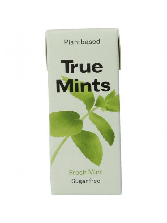 Fresh mint suikervrij