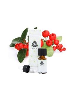 Wintergreen wild