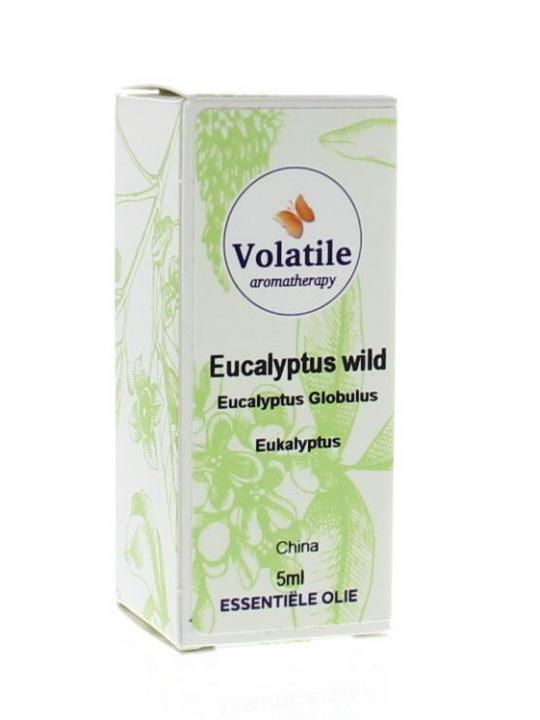 Eucalyptus wild