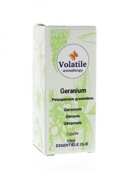 Geranium