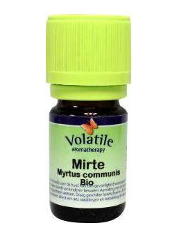 Mirte