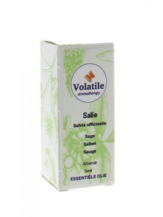 Salie officinalis