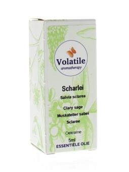 Scharlei