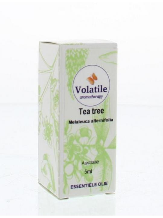 Tea tree