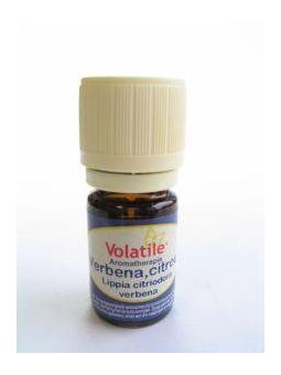 Verbena verveine citroen