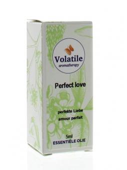 Perfect love