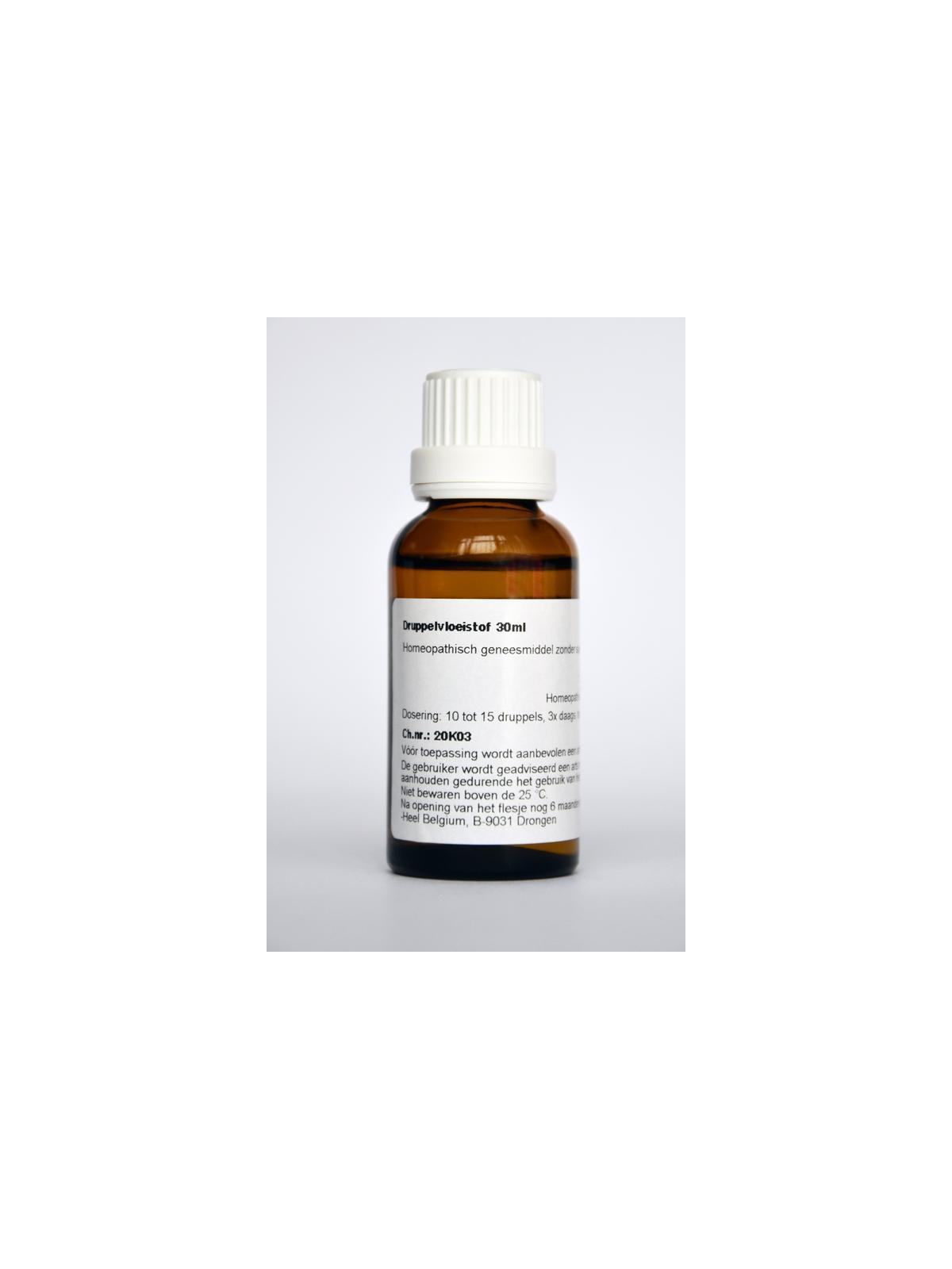 Zingiber officinale phyto