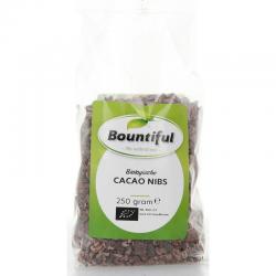 Cacao nibs bio