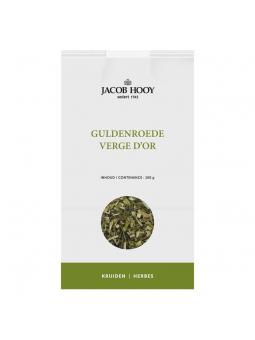 Guldenroede