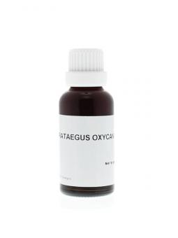 Crataegus oxyacantha phyto