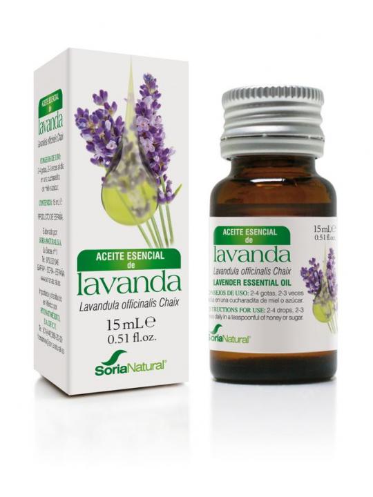 Lavandula officinalis