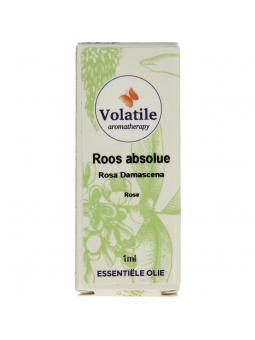 Roos absolue