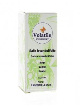 Salie lavandulifolia