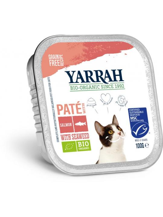 Kattenvoer pate met zalm bio