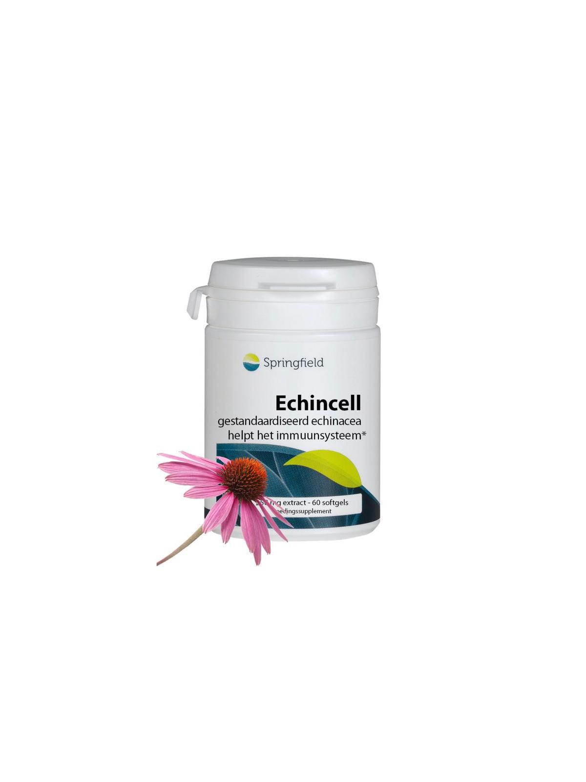 Echincell echinacea extract