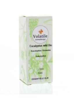 Eucalyptus bio