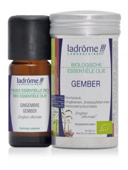 Gember bio