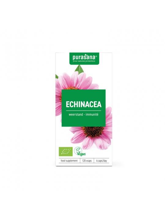 Echinacea vegan bio