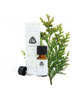 Thuja wild