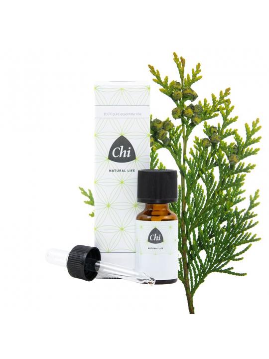 Thuja wild