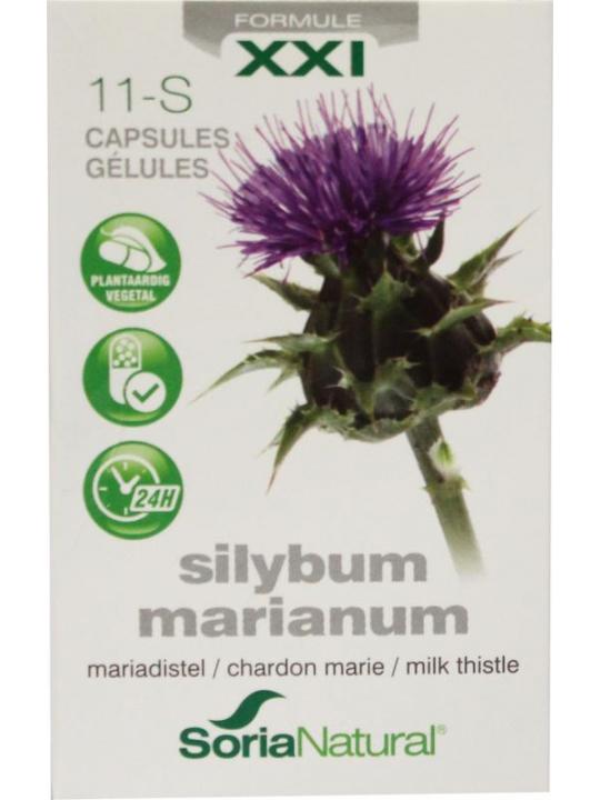 Silybum marianum XXI 11-S