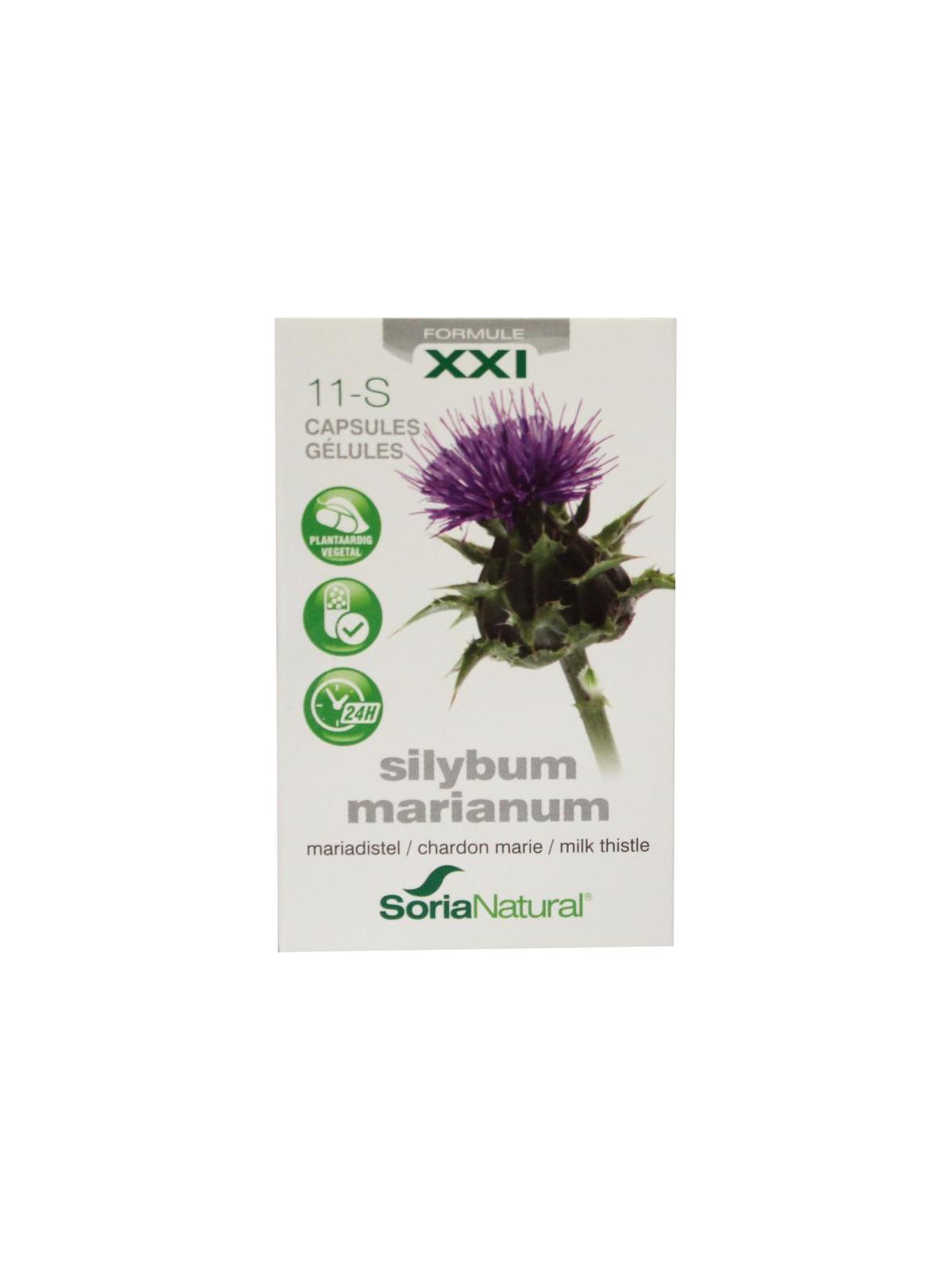 Silybum marianum XXI 11-S