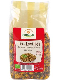 Linzen trio bio