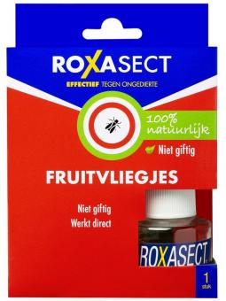 Fruitvliegjes