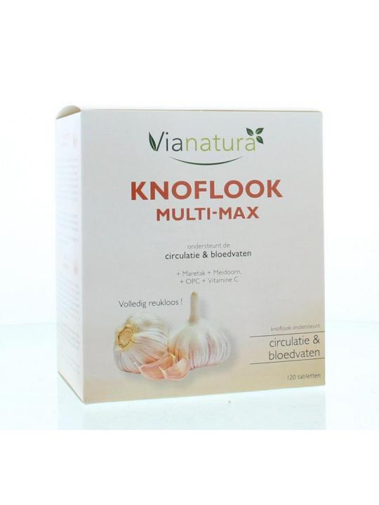 Knoflook multi