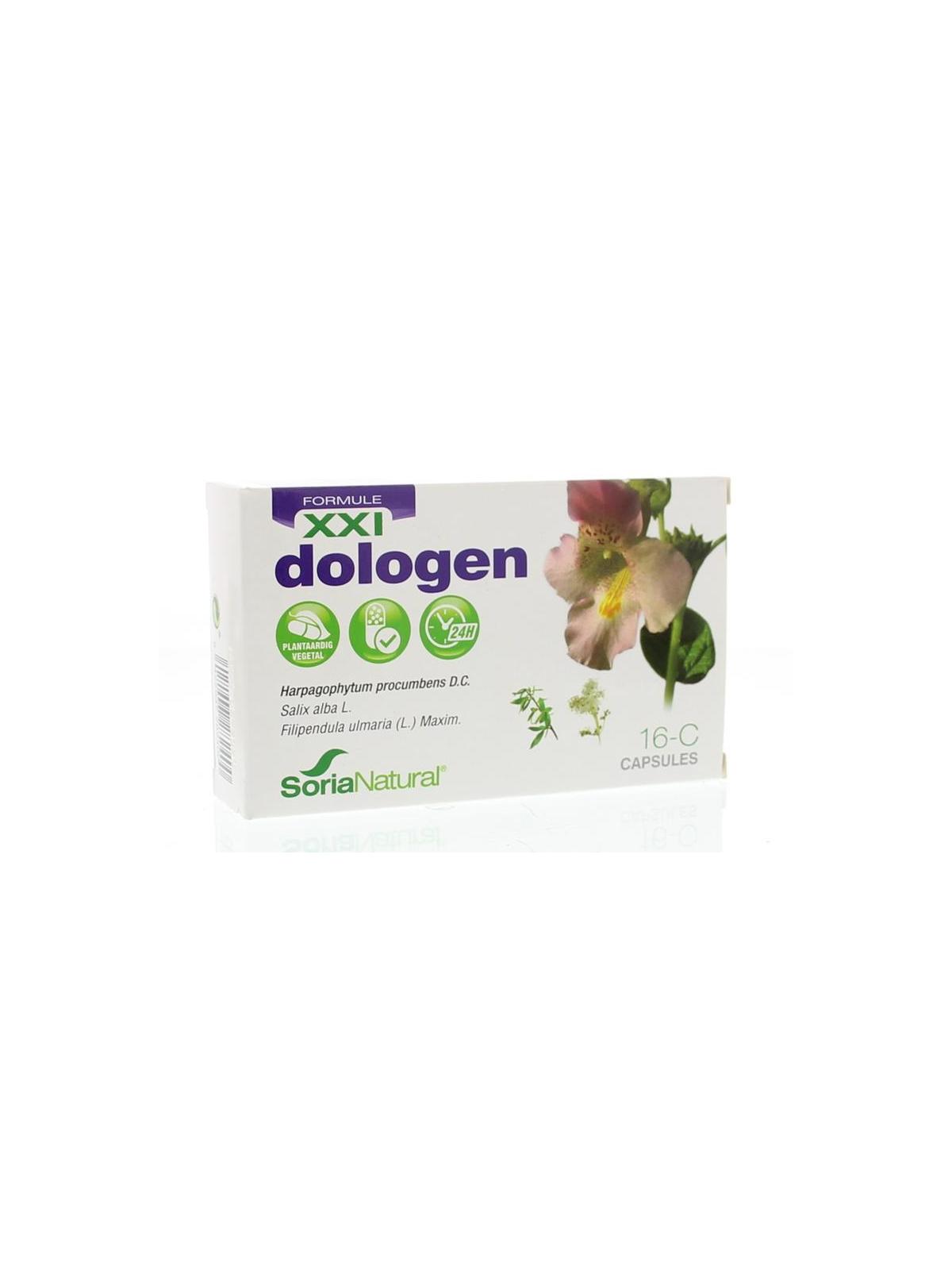 Dologen XXI 16C