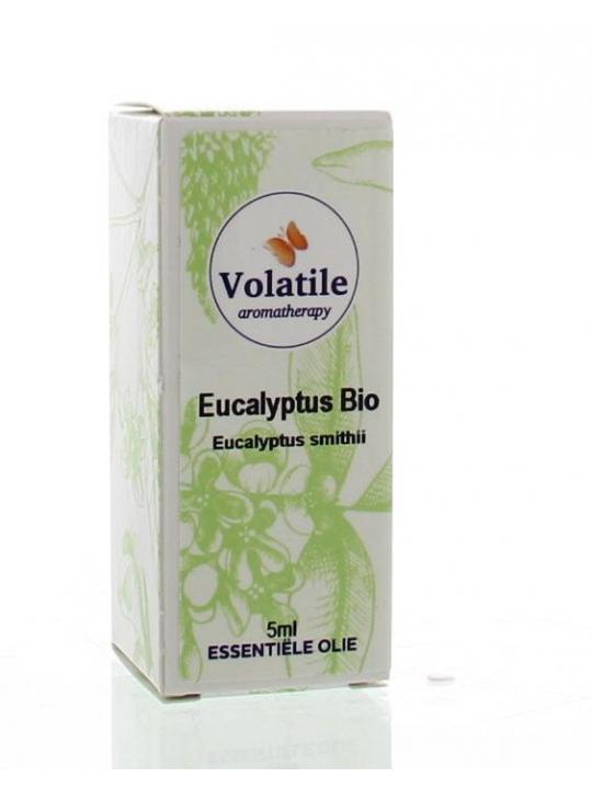 Eucalyptus smithii bio