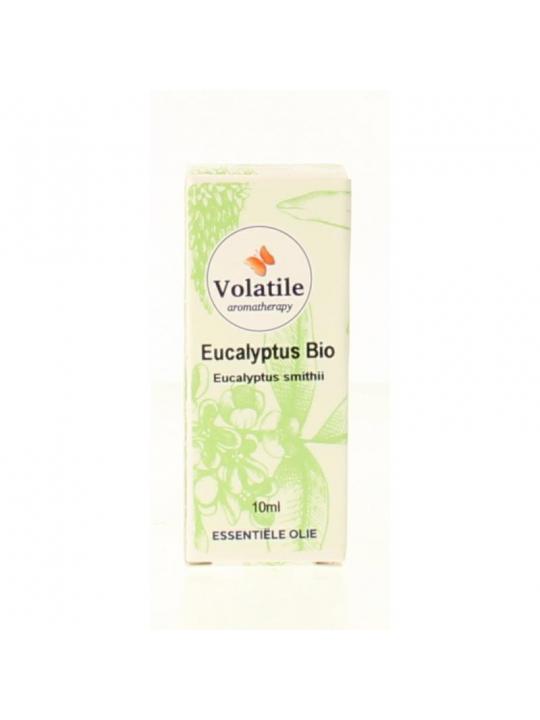 Eucalyptus smithii bio