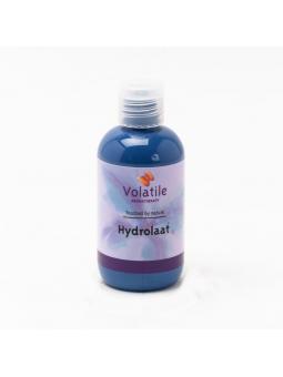 Helicryse hydrolaat