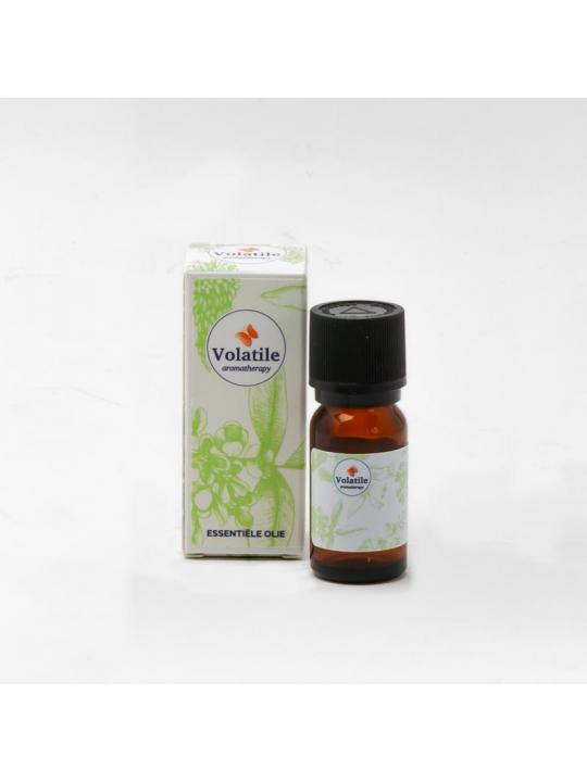 Arnica CO2-TO