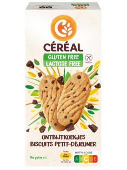 Ontbijtkoekjes glutenvrij