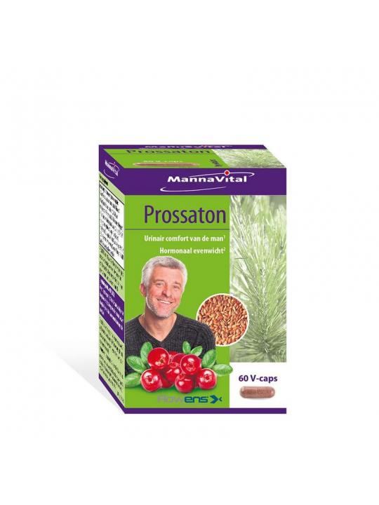 Prossaton