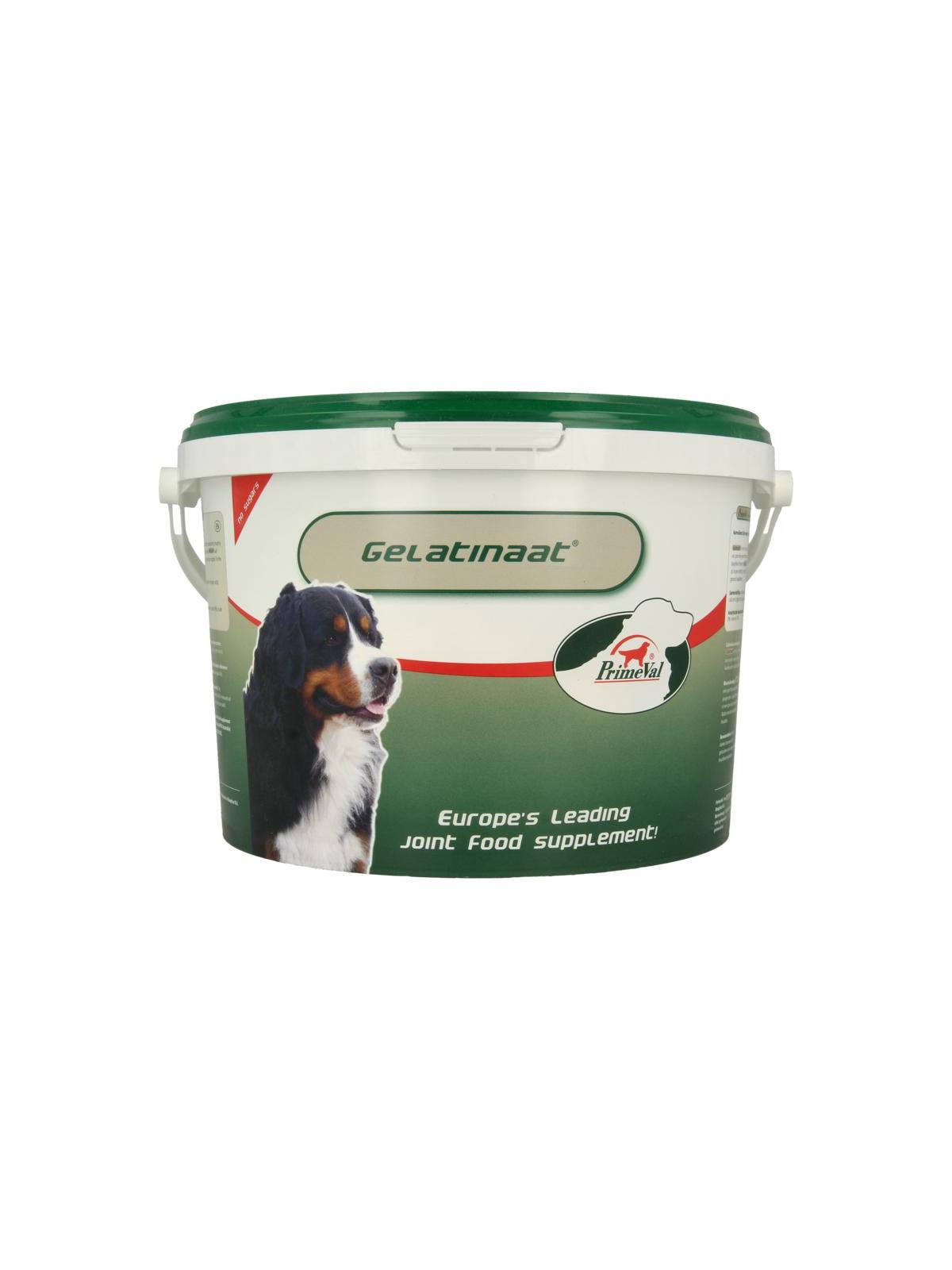 Gelatinaat hond
