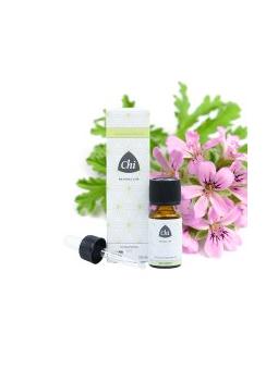 Geranium eko bio