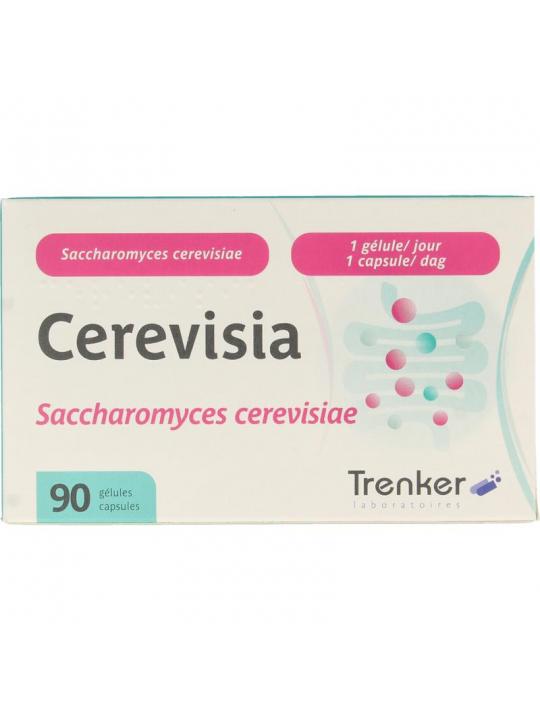 Cerevisia