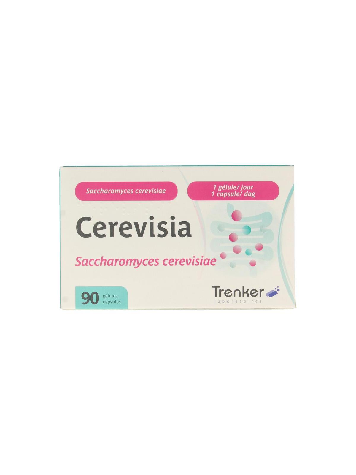 Cerevisia