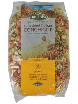 Grote schelp tricolor bio