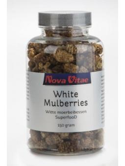 Mulberry bessen (moerbeien)