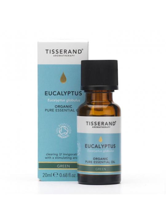 Eucalyptus organic